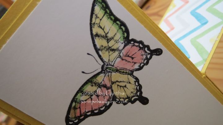 Tulip Explosion card 4