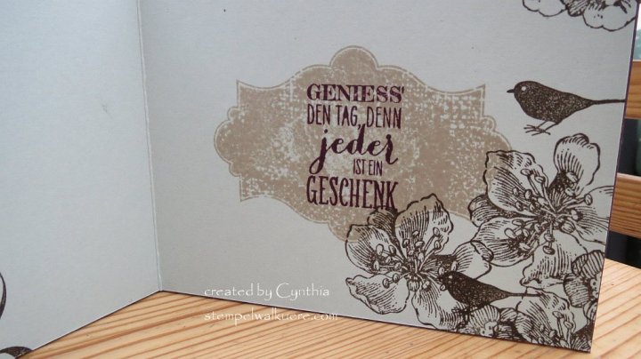 Star Mini Album Immer and Ewig Everything Eleanor 3