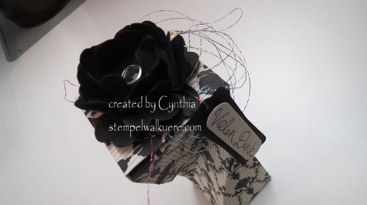 Elegant Twisted Boxes