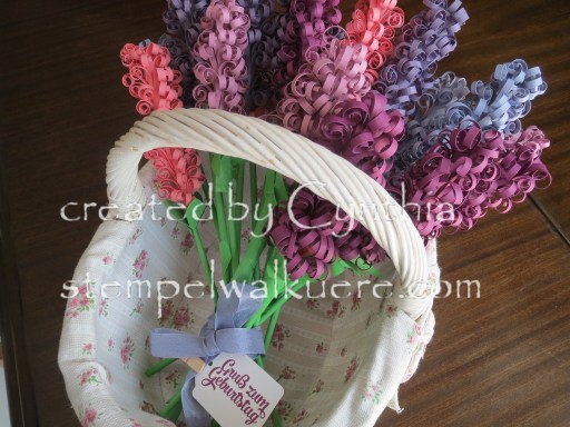 Hyacinth Stempelwalküre 1