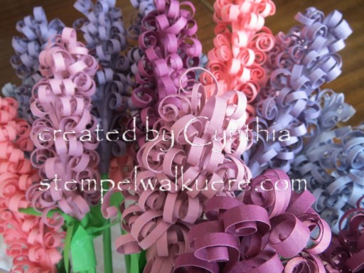 Hyacinth Stempelwalküre 1c