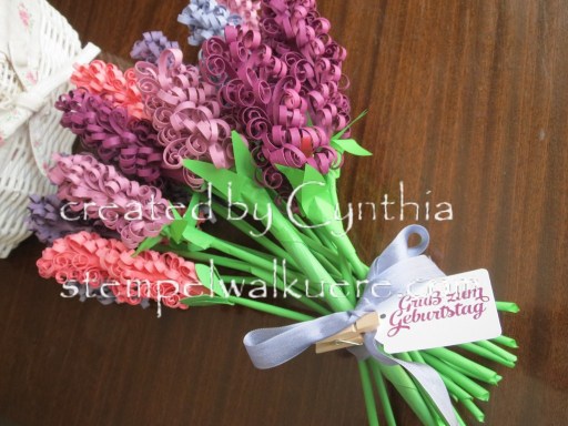 Hyacinth Stempelwalküre 1d