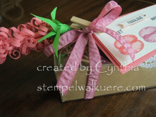 Macaroons1e Stempelwalküre